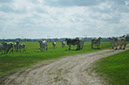 Cedar Bayou watershed