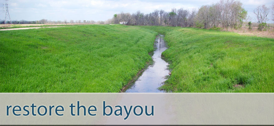 Cedar Bayou